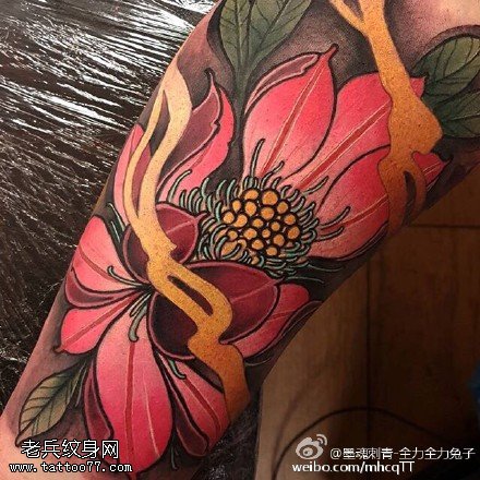 手臂逼真的莲花纹身图案