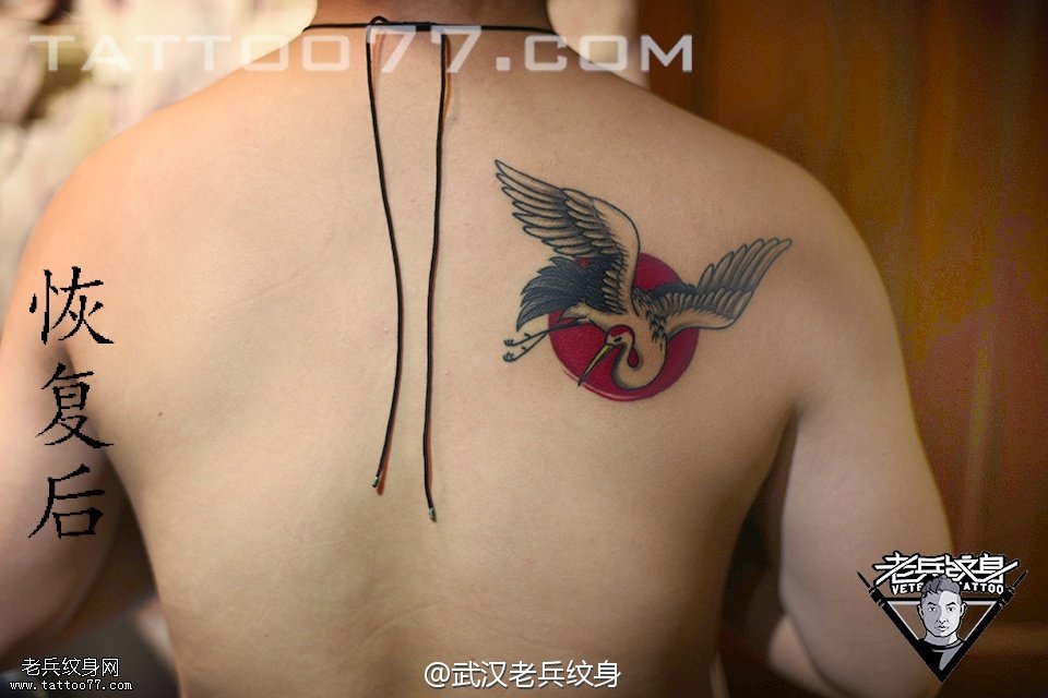 肩胛仙鹤纹身图案作品恢复后效果