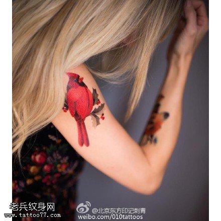 手臂红色小鸟纹身图案