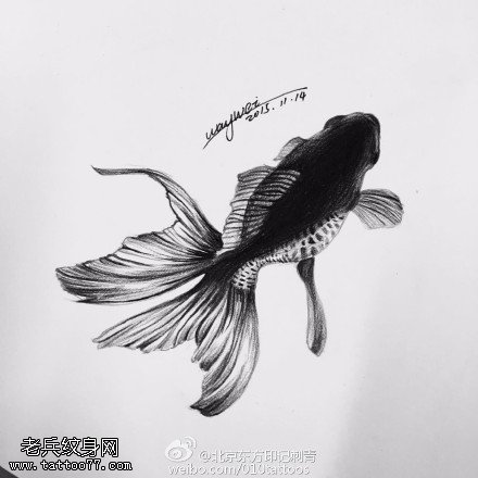 手绘金鱼纹身图案