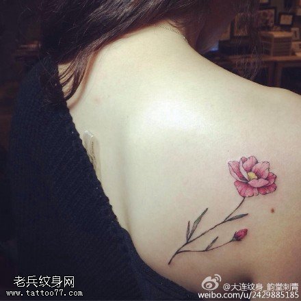 肩膀清晰的小花纹身图案