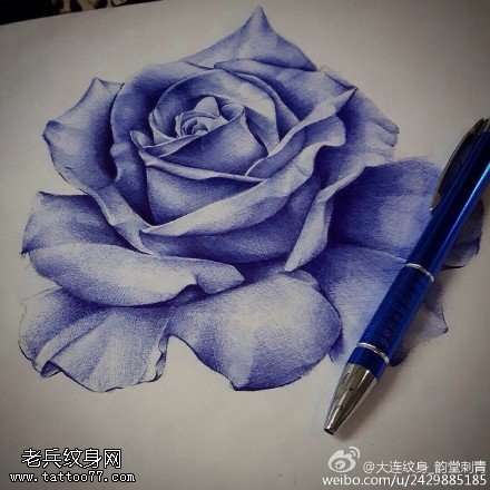 素描蓝色玫瑰纹身图案