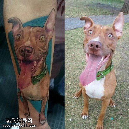 手臂上逼真写实的狗狗纹身图案