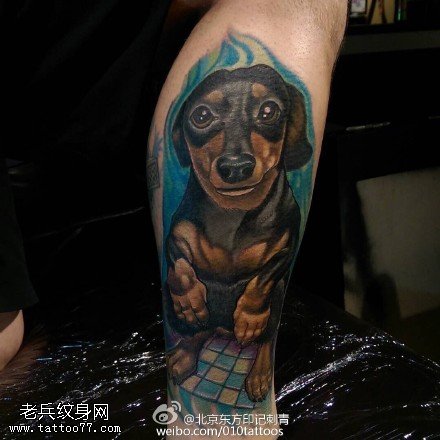 胳膊上的狗狗纹身图案