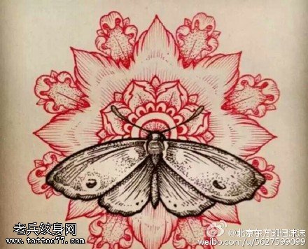 手稿梵花飞蛾纹身图案