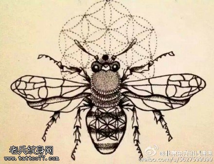 手稿点刺蜜蜂纹身图案