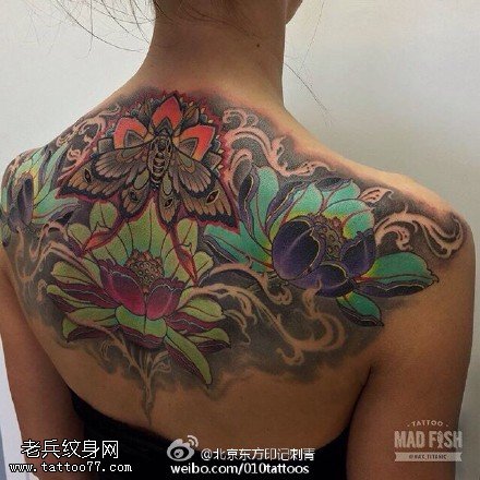 肩膀彩绘蝴蝶莲花纹身图案