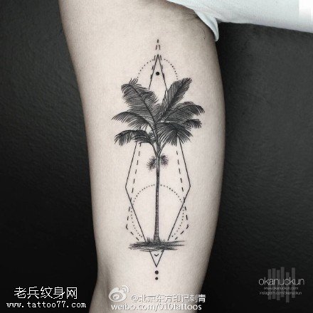 小腿的椰子树纹身图案