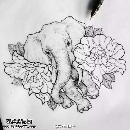 手稿素描大象纹身图案
