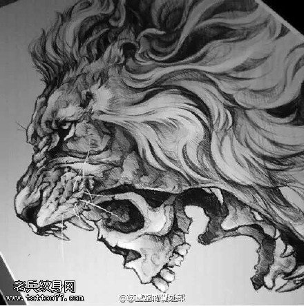 素描熊猛地狮子纹身图案