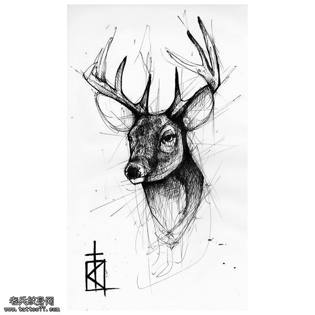 手稿线条鹿纹身图案