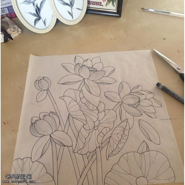 素描的荷花纹身图案
