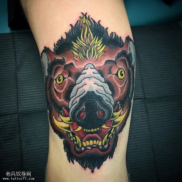 小腿的猪头纹身图案