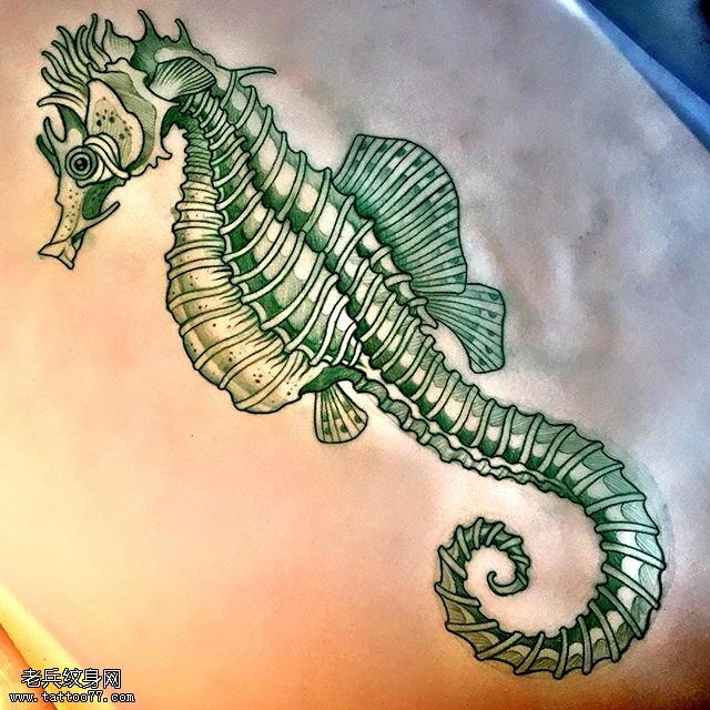 手稿翼龙骷髅纹身图案