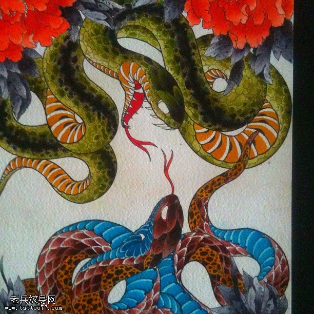 手稿彩绘的蛇纹身图案