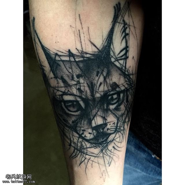 手臂黑灰点刺猫咪纹身图案