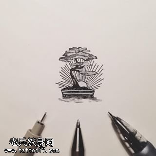 手稿松塔纹身图案