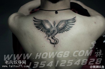 背部的蛇杖纹身图案