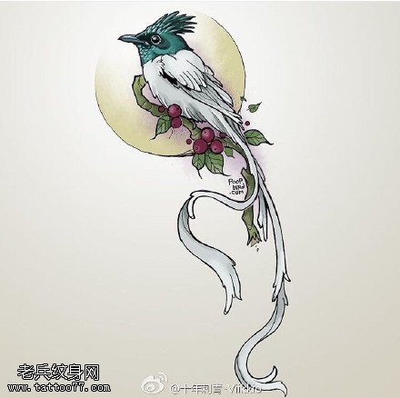 手稿长尾巴鸟纹身图案
