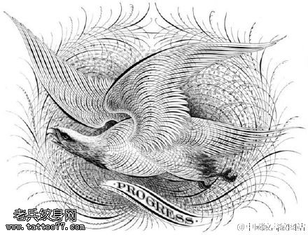 手稿网状鸟纹身图案