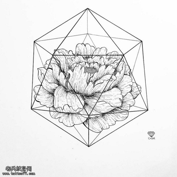 手稿线条牡丹纹身图案