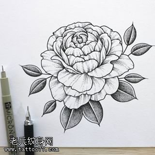 手稿荆棘的玫瑰纹身图案