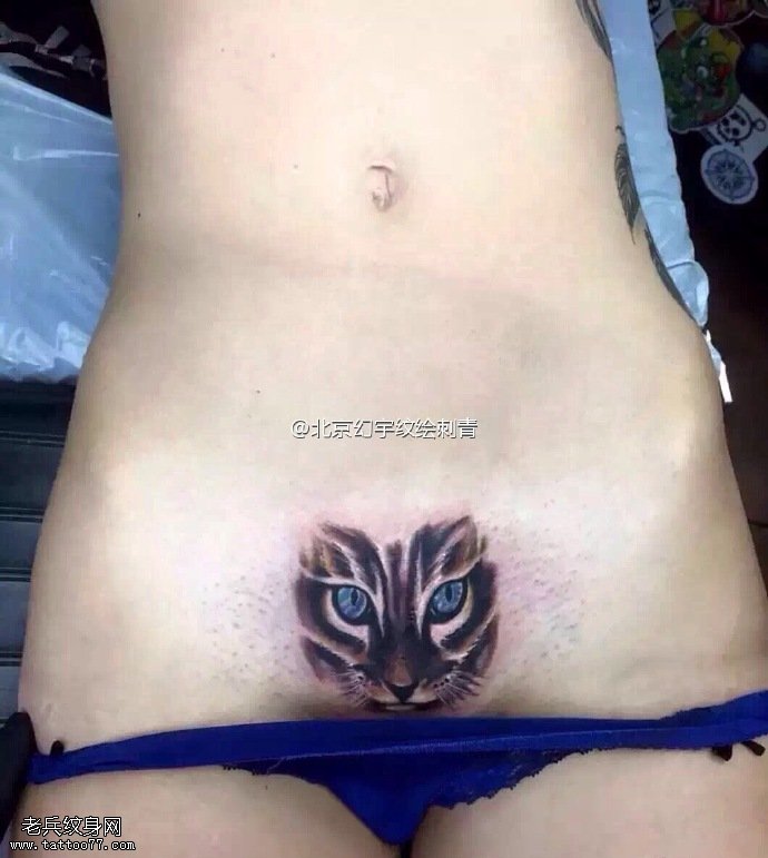 性感部位的猫咪纹身图案