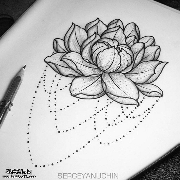 手稿素描的荷花纹身图案