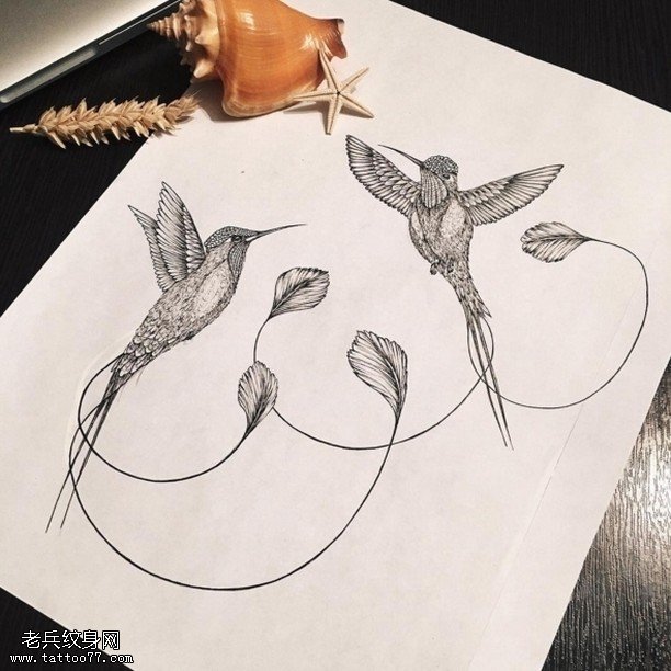 手稿漂亮的尾巴鸟纹身图案