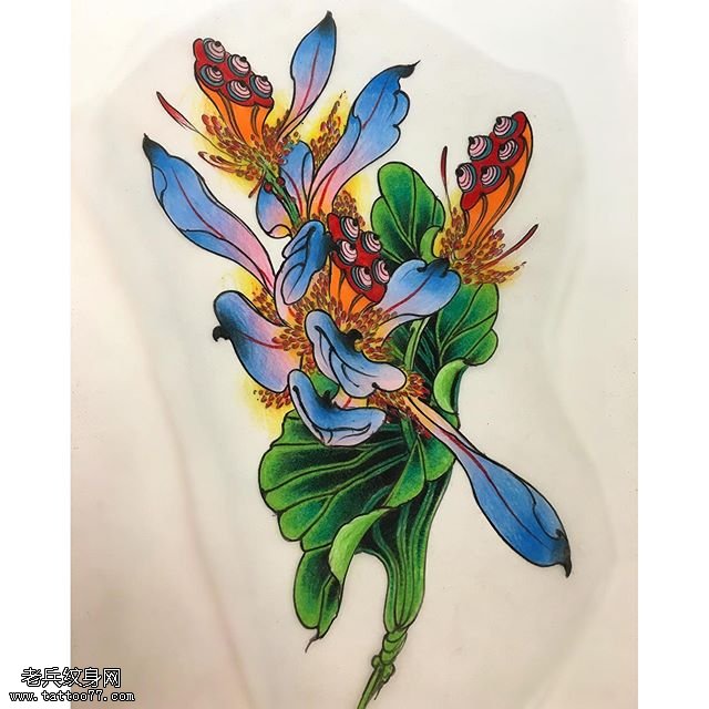 手稿娇艳的莲花纹身图案