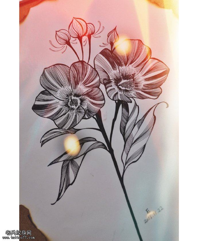 手稿的线条花卉纹身图案