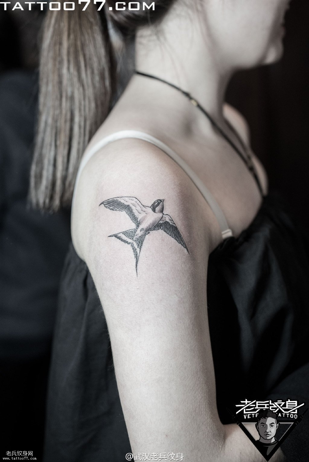 手臂燕子纹身图案作品