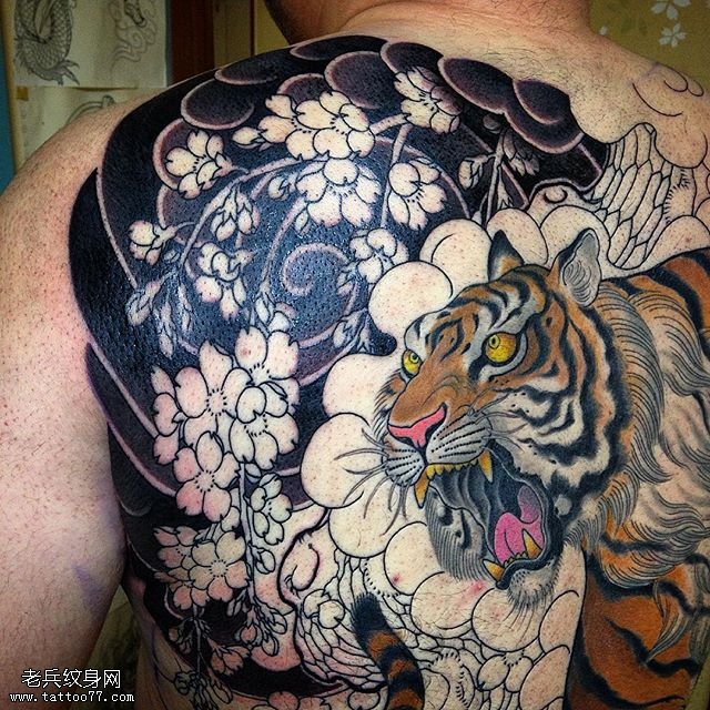 背部樱花大老虎纹身图案