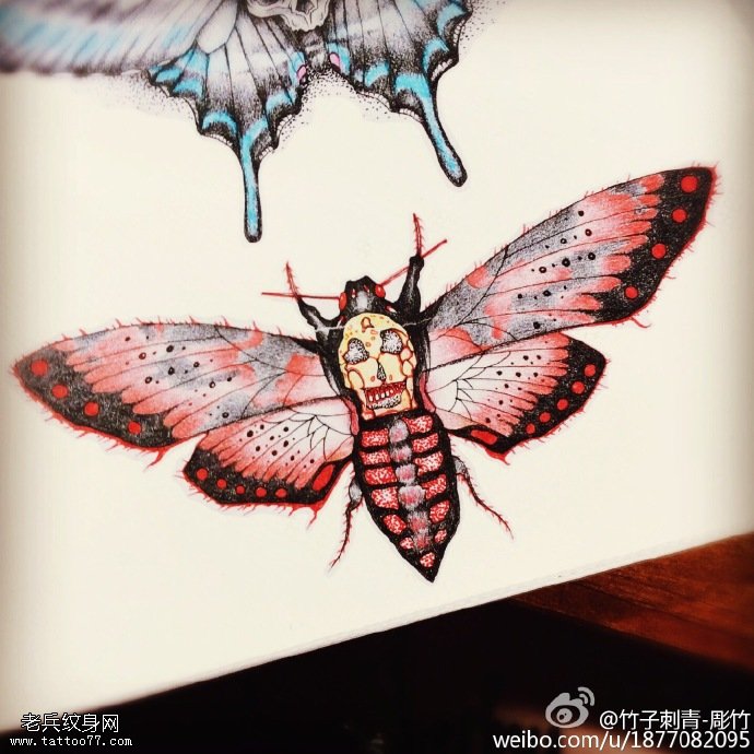 手稿彩绘飞蛾纹身图案