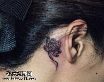 耳部一幅小莲花纹身图案