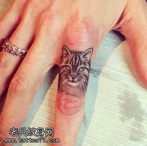 手指小小的猫头像纹身图案