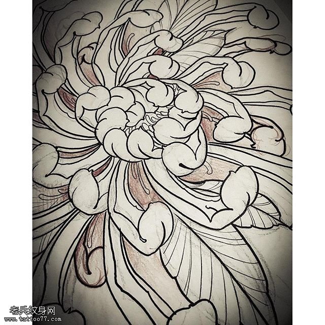 素描线条菊花纹身图案