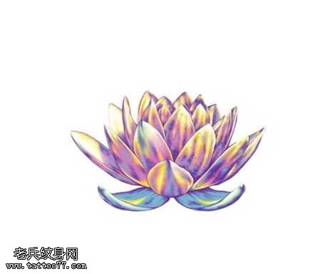 手稿漂亮的莲花纹身图案