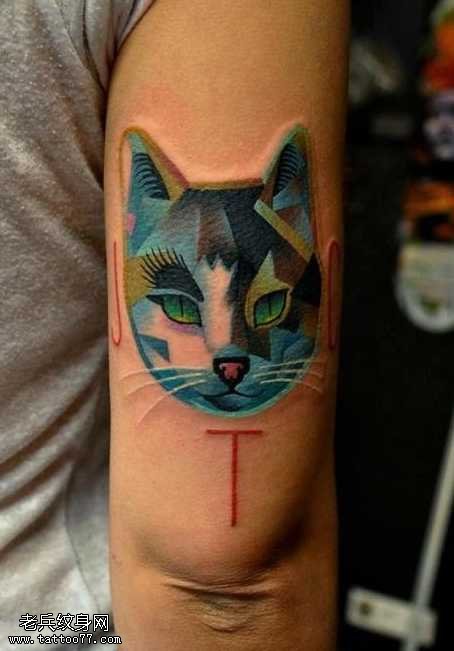 手臂彩色猫头像纹身图案