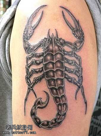 手臂大蝎子纹身图案