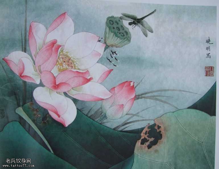 手稿荷花纹身图案