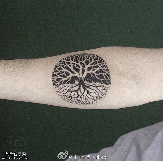 手臂圆老树纹身图案