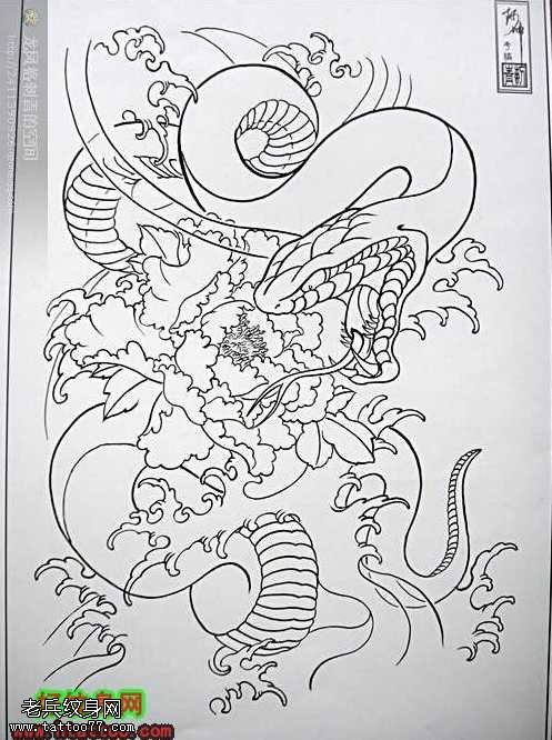 手稿一条长长的蛇素材纹身图案