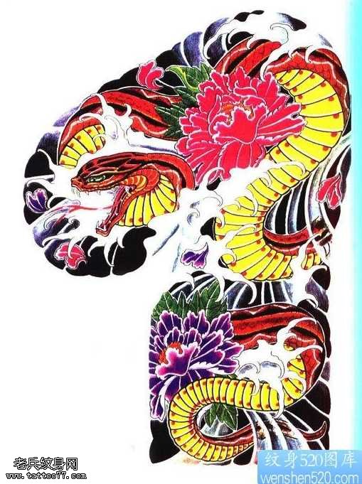 手稿半甲日式老传统蛇纹身图案