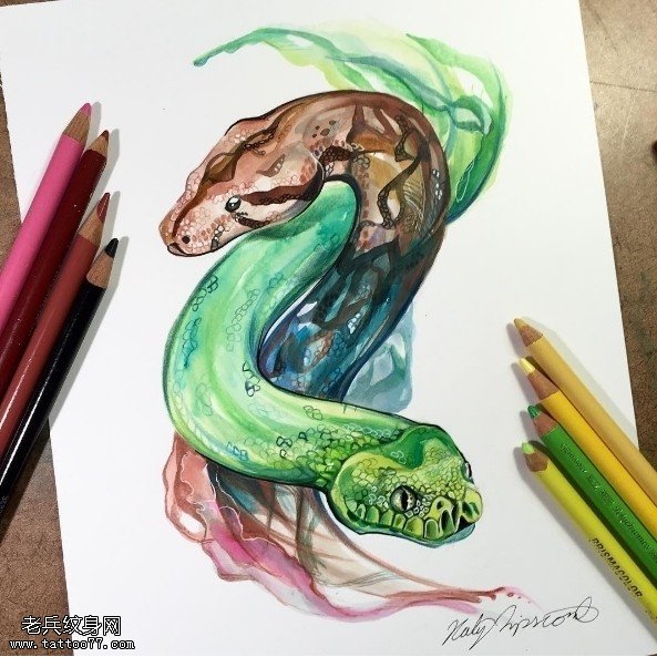 手稿彩绘两条蛇纹身图案