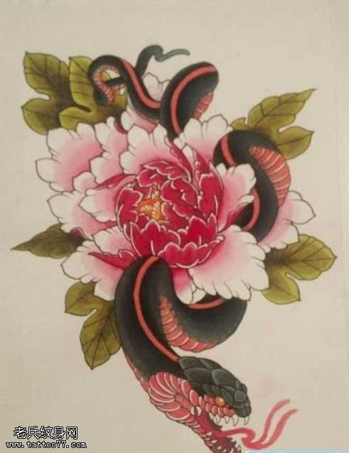 手稿彩色牡丹蛇纹身图案