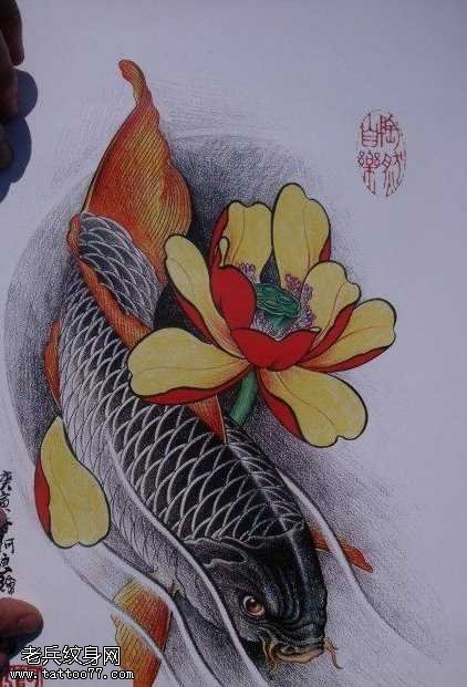 手稿中华锦鲤纹身图案