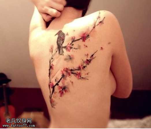 背部漂亮的梅花和小鸟纹身图案