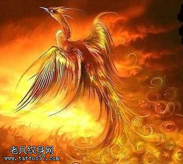 手稿火凤凰纹身图案