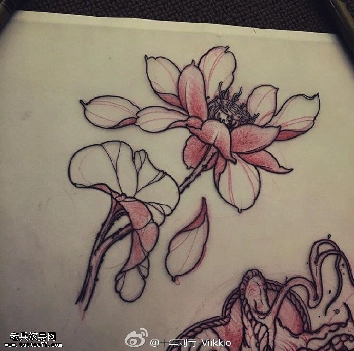 手稿经典素描莲花纹身图案